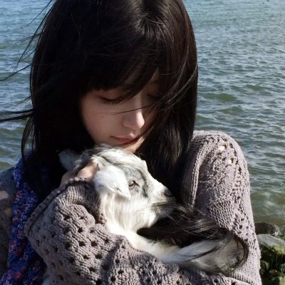 猫与苍蝇