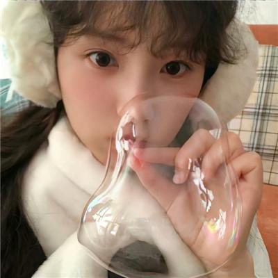 藏獒情未了